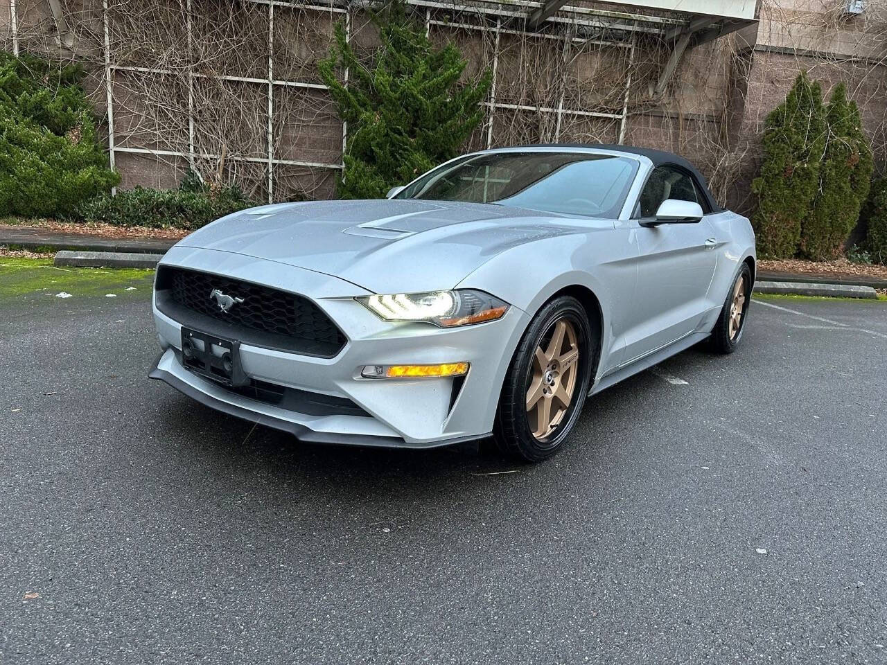 2019 Ford Mustang for sale at Sparks Motors LLC in Federal Way, WA