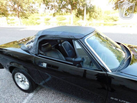 1981 Triumph TR7