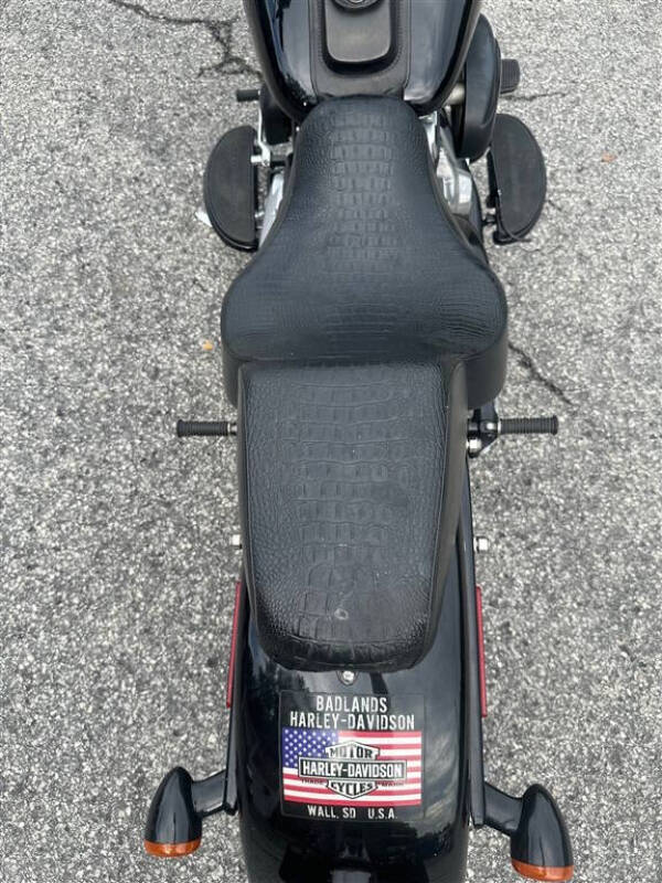 2014 Harley-Davidson FLSTFB -