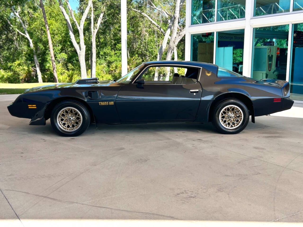 1981 Pontiac Firebird 11