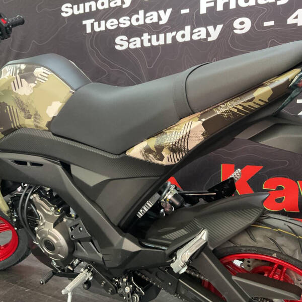 2025 Kawasaki Z125 Pro