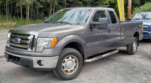 2010 Ford F-150 for sale at AAA to Z Auto Sales in Woodridge NY