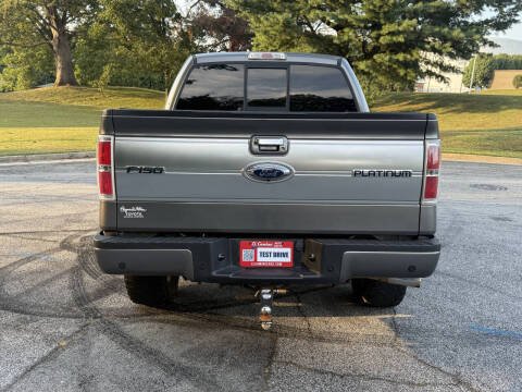 2013 Ford F-150 Platinum