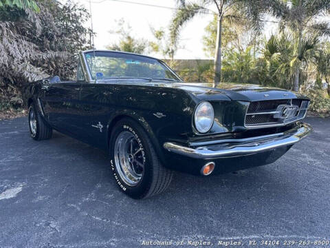 1965 Ford Mustang for sale at Autohaus of Naples in Naples FL