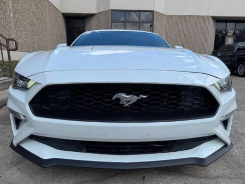 2019 Ford Mustang