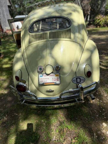 1955 Volkswagen Beetle