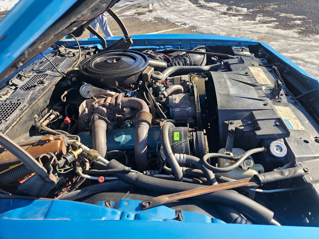 1980 Pontiac Firebird Trans Am 41