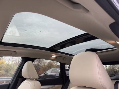 2021 Infiniti QX50 Luxe