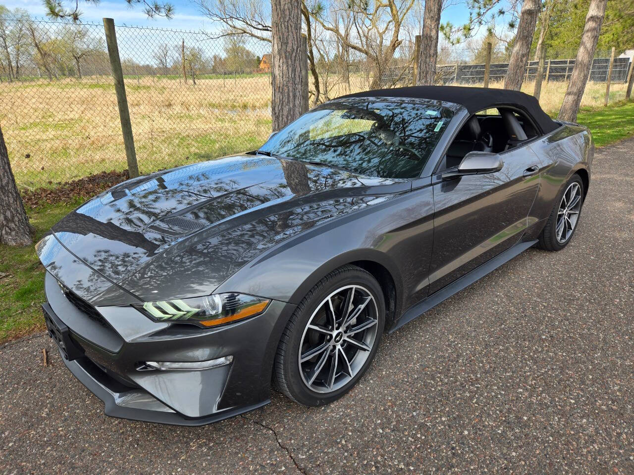 2019 Ford Mustang 167