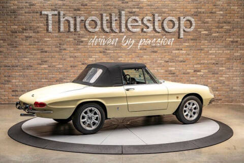 1967 Alfa Romeo Spider