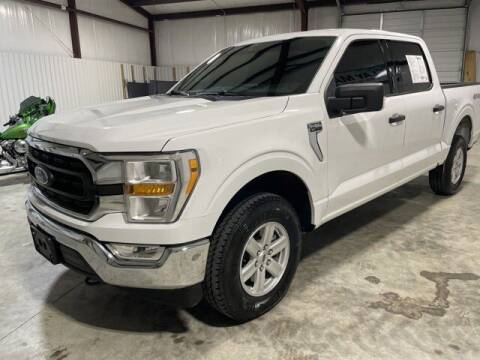 2021 Ford F-150 for sale at Clay Maxey Ford of Harrison in Harrison AR