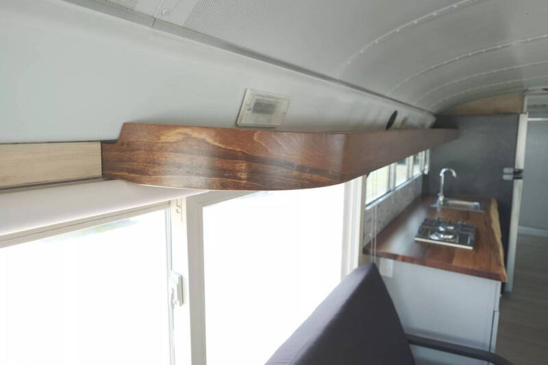 2018 Blue Bird Vision