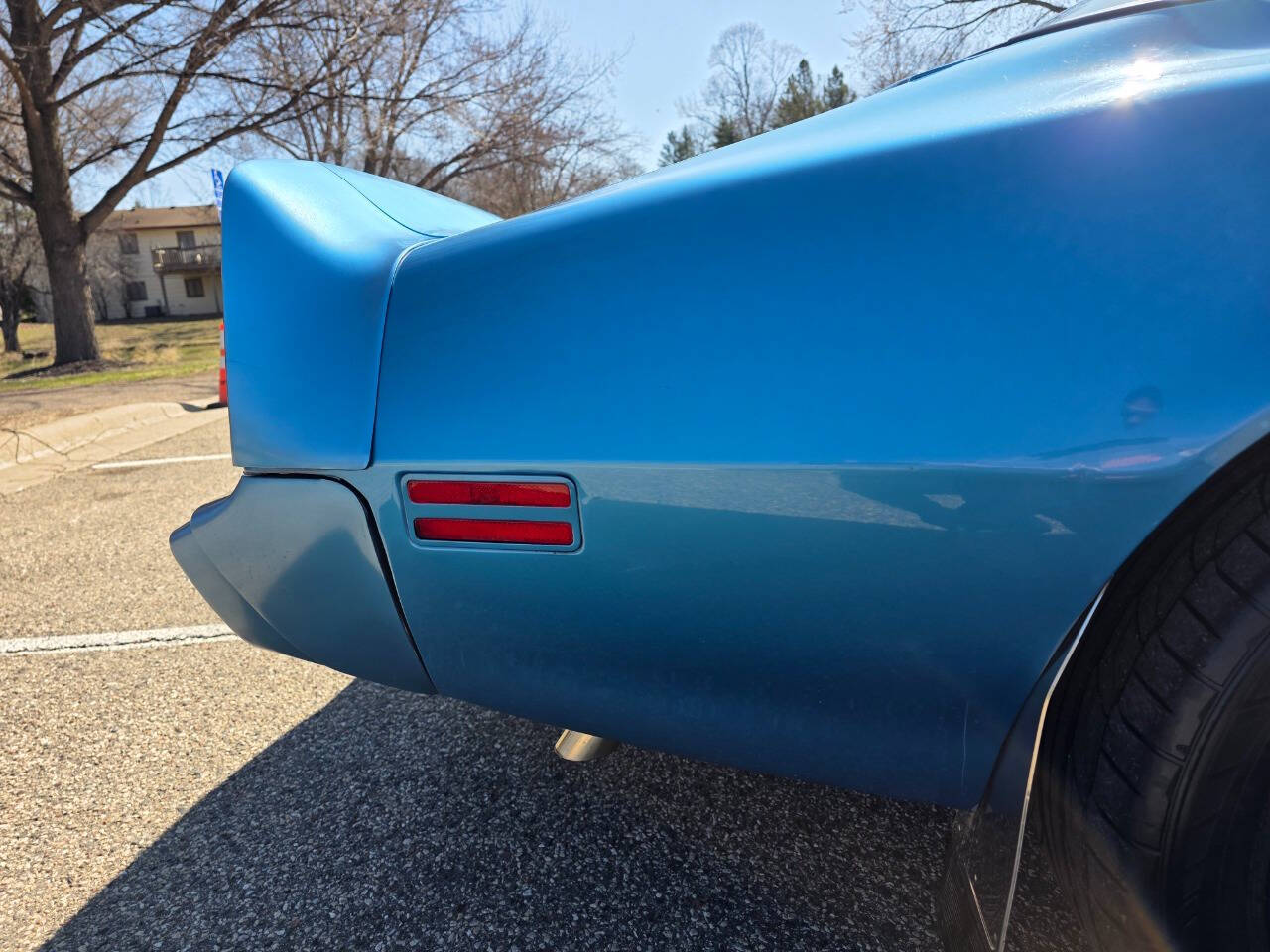 1980 Pontiac Firebird Trans Am 78