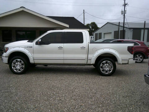 2010 Ford F-150 for sale at RANDY'S AUTO SALES in Oakdale LA