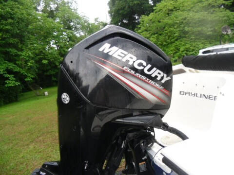 2019 Bayliner Element E18