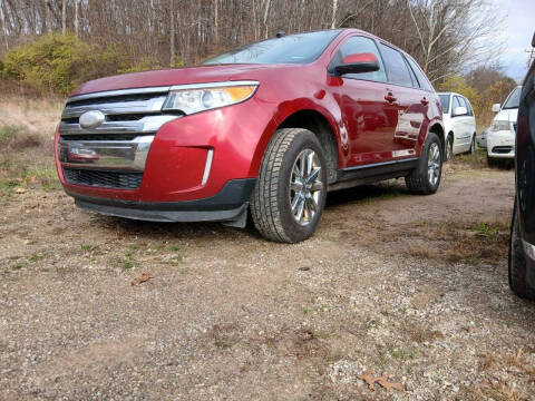 2013 Ford Edge for sale at Court House Cars, LLC in Chillicothe OH