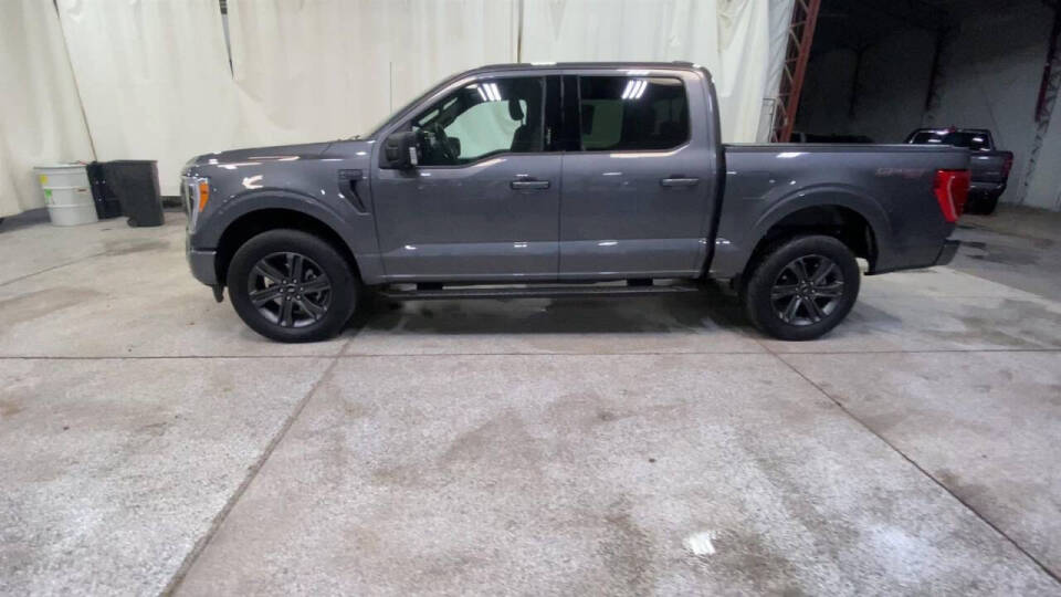 2023 Ford F-150 for sale at Victoria Auto Sales in Victoria, MN