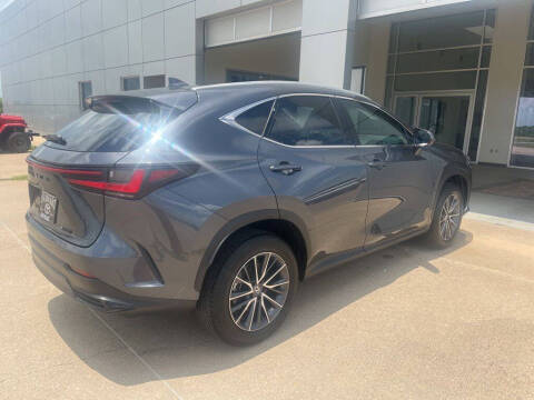 2025 Lexus NX 250 Premium