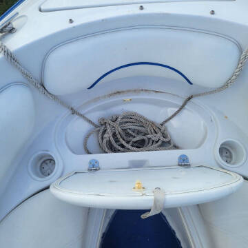 1996 Chris-Craft 18.5 Concept