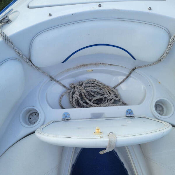 1996 Chris-Craft 18.5 Concept