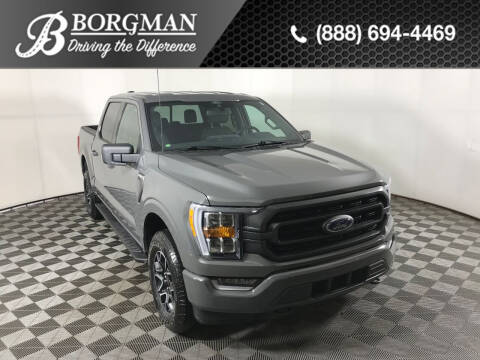 2021 Ford F-150 for sale at BORGMAN OF HOLLAND LLC in Holland MI