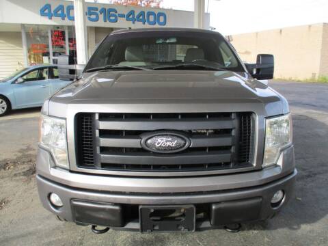 2009 Ford F-150 for sale at Elite Auto Sales in Willowick OH