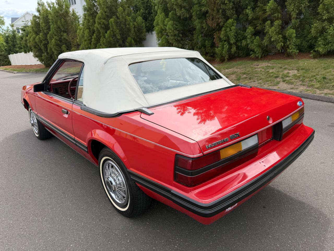 1983 Ford Mustang 6