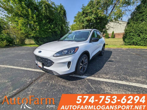 2022 Ford Escape for sale at AUTOFARM DALEVILLE in Daleville IN