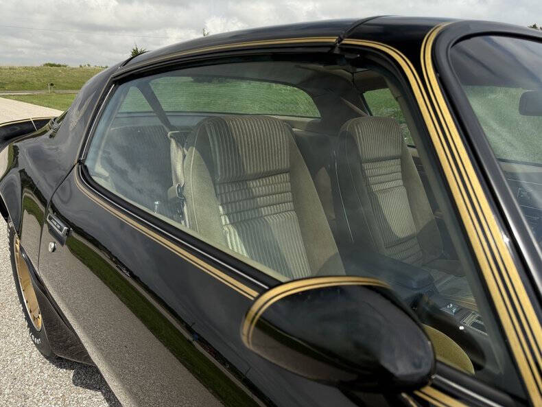 1981 Pontiac Firebird Trans Am