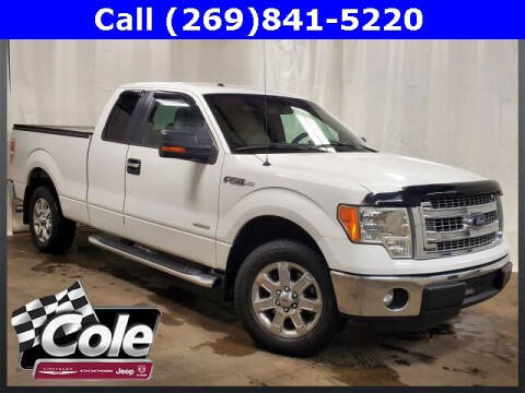 2013 Ford F-150 for sale at COLE Automotive in Kalamazoo MI