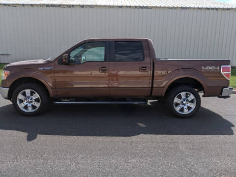 2011 Ford F-150 for sale at TNK Autos in Inman KS