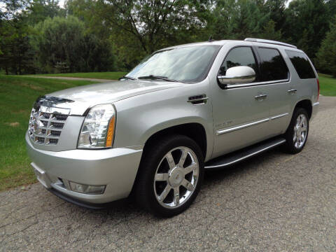 2010 Cadillac Escalade for sale at Great Lakes Motor Group LLC in Davisburg MI