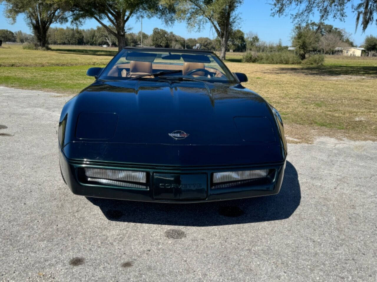 1991 Chevrolet Corvette for sale at Memory Lane Classic Cars in Bushnell, FL