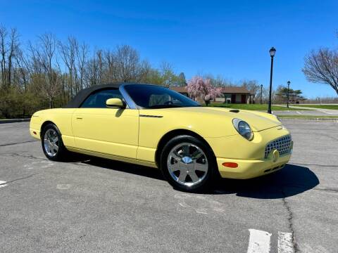 2002 Ford Thunderbird for sale at Great Lakes Classic Cars LLC in Hilton NY