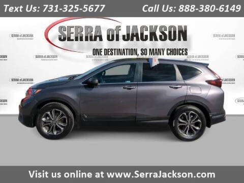 2022 Honda CR-V for sale at Serra Of Jackson in Jackson TN