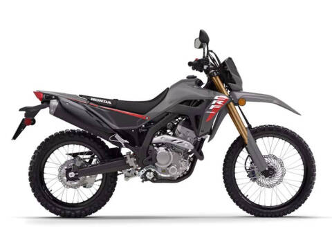 2025 Honda CRF300LS