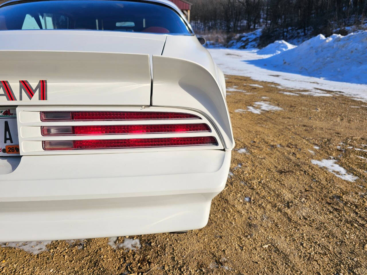 1976 Pontiac Trans Am 142