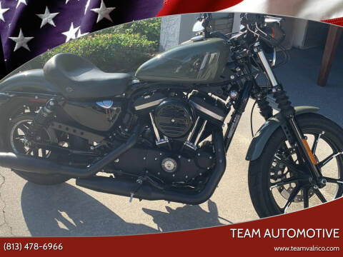 2021 Harley Davidson 1200 Sportster Iron for sale at TEAM AUTOMOTIVE in Valrico FL