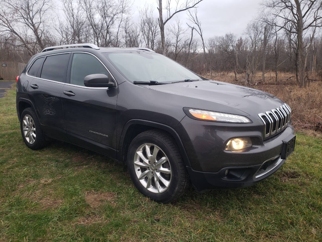 2015 Jeep Cherokee for sale at Platinum Motors in Holland, MI