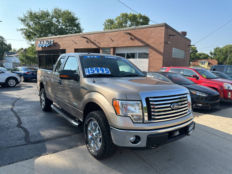 2012 Ford F-150 for sale at AM AUTO SALES LLC in Milwaukee WI