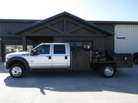 2011 Ford F-450 Super Duty for sale at Elliott Auto Sales in Glyndon MN