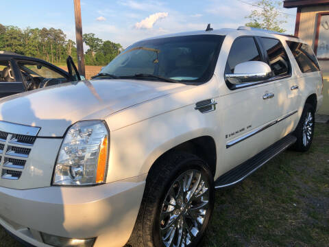 2008 Cadillac Escalade ESV for sale at U Can Ride Auto Mall LLC in Midland NC