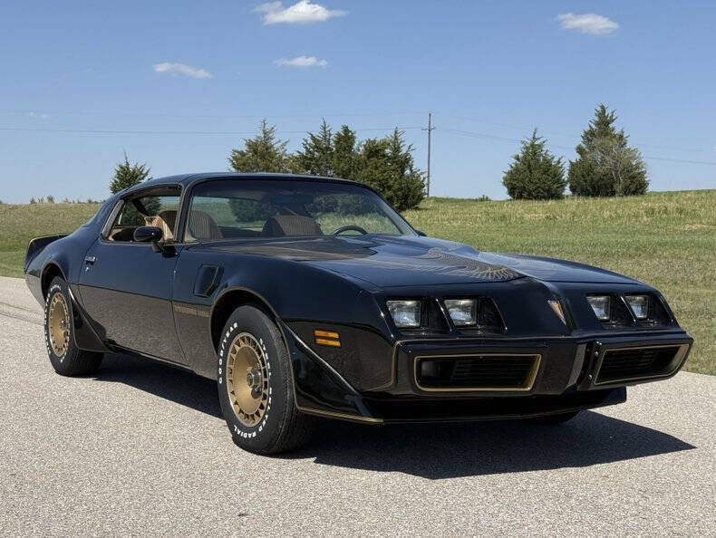 1981 Pontiac Firebird Trans Am