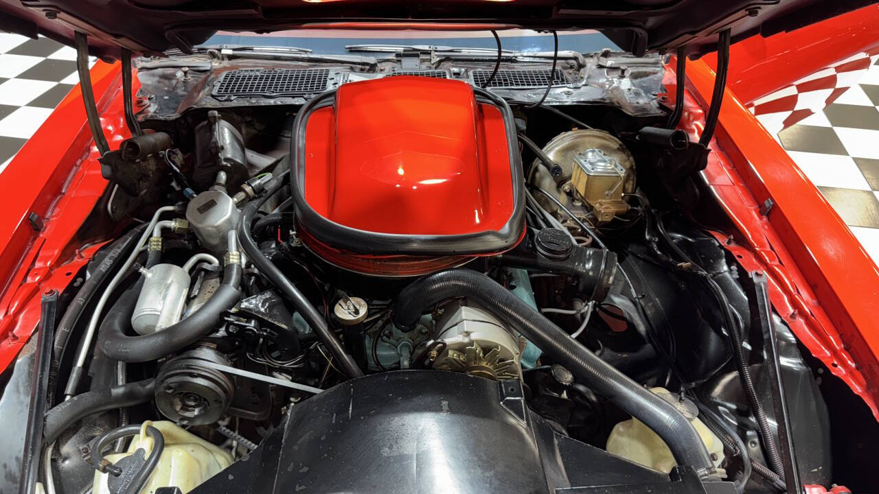1979 Pontiac Firebird Trans Am 7