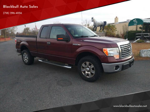 2010 Ford F-150 for sale at Blackbull Auto Sales in Ozone Park NY