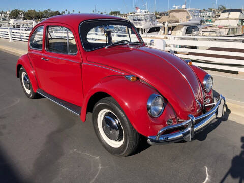 1967 Volkswagen Beetle for sale at Elite Dealer Sales in Costa Mesa CA