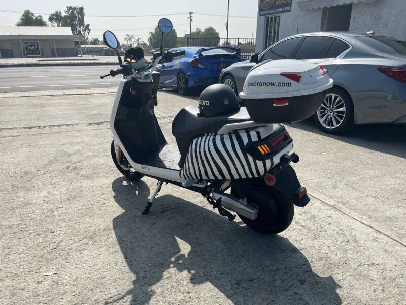 2020 Zebra E-bike