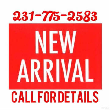 2016 FIAT 500X for sale at DON'S ADOPT A CAR in Cadillac MI