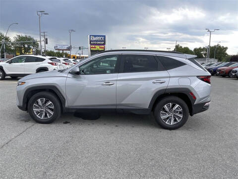 2024 Hyundai Tucson Hybrid Blue