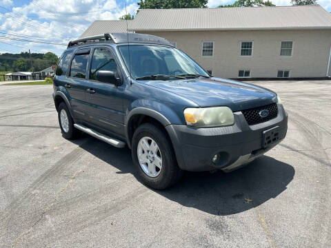 2006 Ford Escape for sale at TRAVIS AUTOMOTIVE in Corryton TN